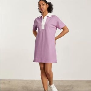 Everlane The Organic Cotton Polo Dress in Mauve